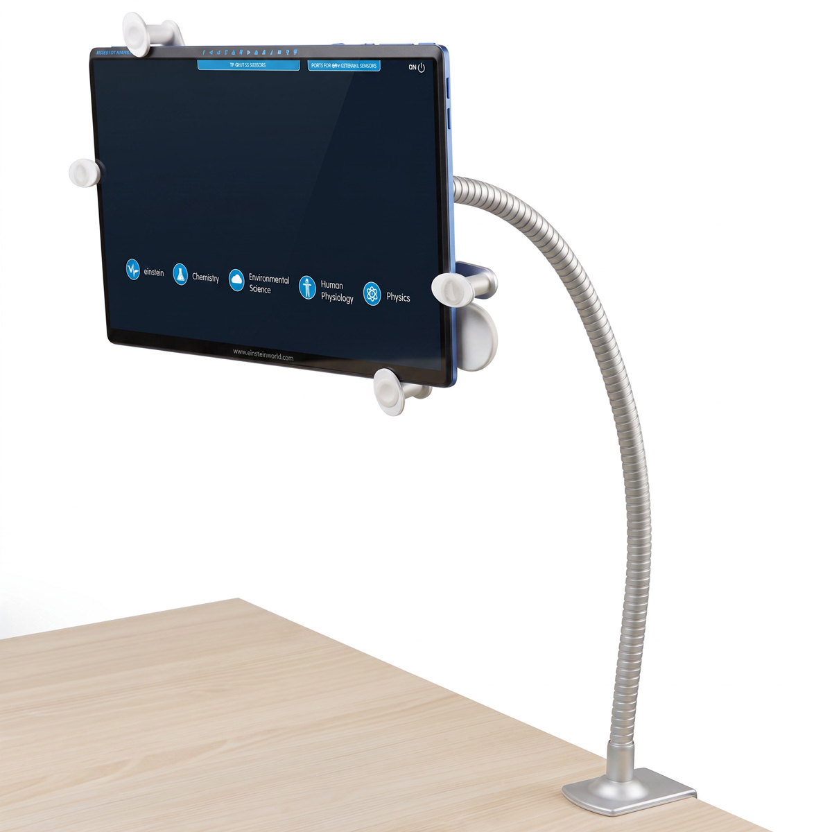 einstein™ Halter für einstein™ Tablet, Tischbefestigung mit flexiblem Schwanenhals 
